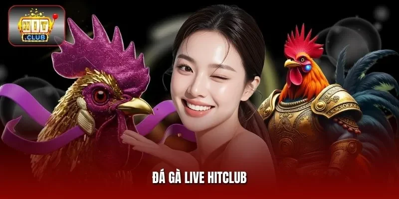 Đá gà live Hitclub