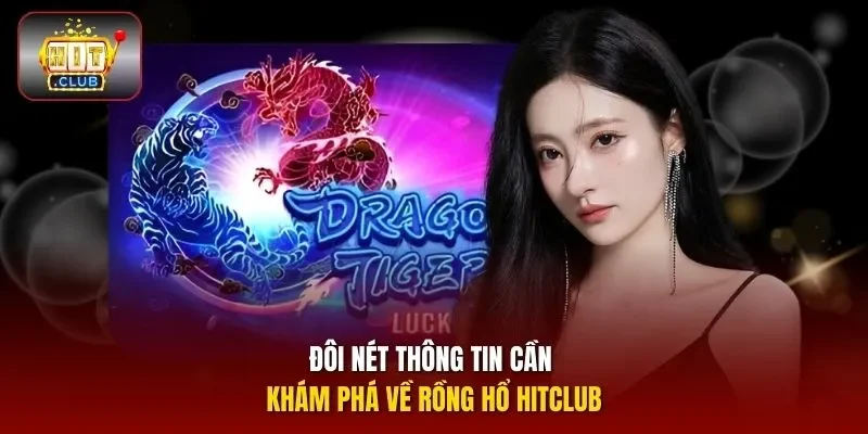 Đôi nét thông tin cần khám phá về Rồng Hổ HITCLUB