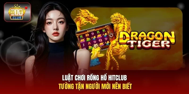 Luật chơi Rồng Hổ HITCLUB tường tận người mới nên biết
